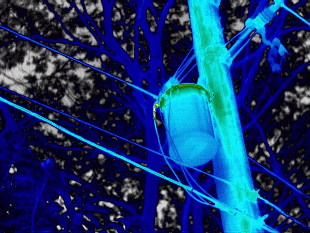 TC P系列紅外熱成像儀-1 TC P系列紅外熱成像儀-1